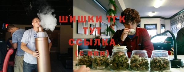 a pvp Горняк
