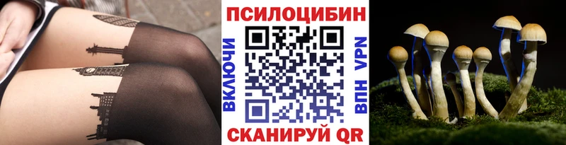 Псилоцибиновые грибы MAGIC MUSHROOMS  Купить закладки  Княгинино 